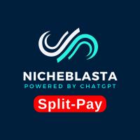 NicheBlasta SPLIT PAY Or Discount